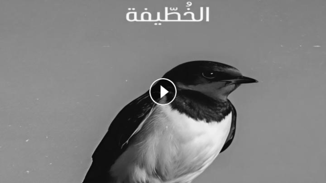 مسلسل الخطيفة الحلقة 7 السابعة